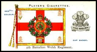 32 5th Battalion Welsh Regiment